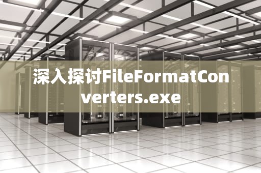 深入探讨FileFormatConverters.exe