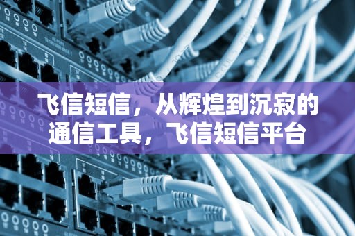 飞信短信，从辉煌到沉寂的通信工具，飞信短信平台
