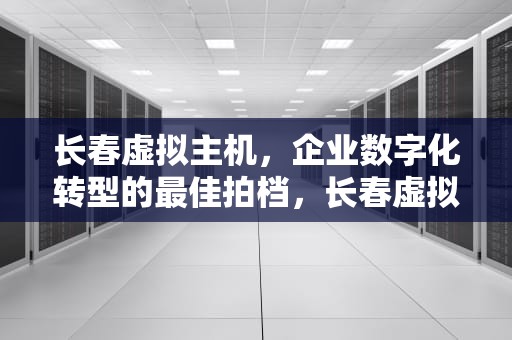 长春虚拟主机，企业数字化转型的最佳拍档，长春虚拟主机实体店
