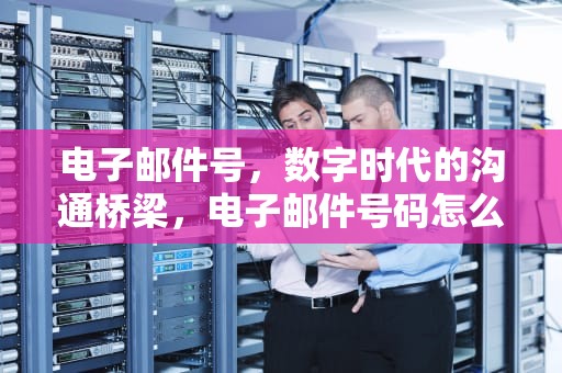 电子邮件号，数字时代的沟通桥梁，电子邮件号码怎么填写