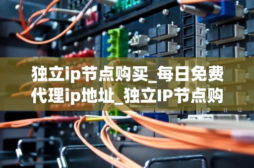 独立ip节点购买_每日免费代理ip地址_独立IP节点购买的全面解析