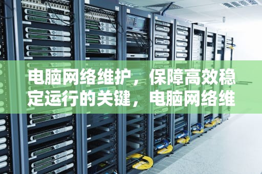 电脑网络维护，保障高效稳定运行的关键，电脑网络维护是做什么的