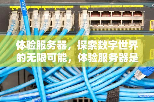体验服务器，探索数字世界的无限可能，体验服务器是什么意思