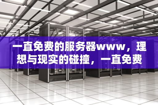 一直免费的服务器www，理想与现实的碰撞，一直免费的服务器下载