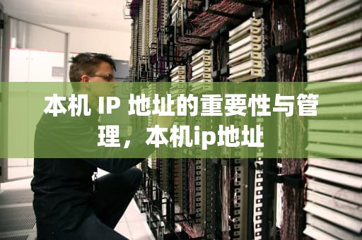 本机 IP 地址的重要性与管理，本机ip地址