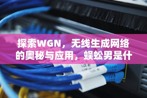 探索WGN，无线生成网络的奥秘与应用，蜈蚣男是什么意思