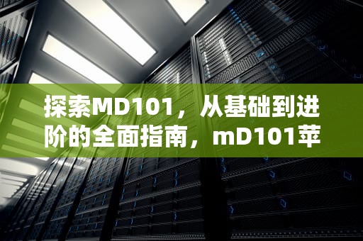 探索MD101，从基础到进阶的全面指南，mD101苹果笔记本哪一年