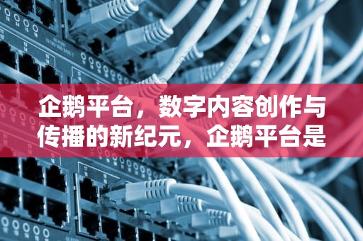企鹅平台，数字内容创作与传播的新纪元，企鹅平台是什么软件