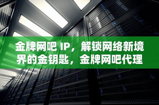 金牌网吧 IP，解锁网络新境界的金钥匙，金牌网吧代理软件
