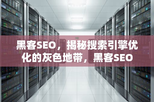 黑客SEO，揭秘搜索引擎优化的灰色地带，黑客SEO