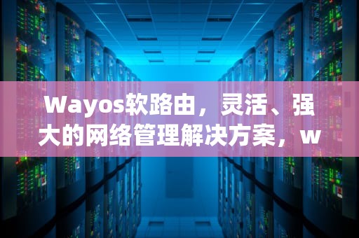 Wayos软路由，灵活、强大的网络管理解决方案，wayos软路由下载