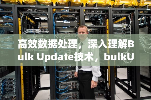 高效数据处理，深入理解Bulk Update技术，bulkUpdate方法作用