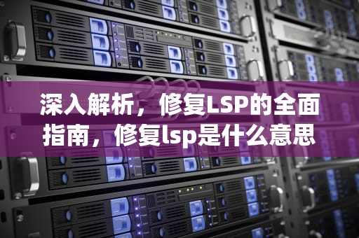 深入解析，修复LSP的全面指南，修复lsp是什么意思