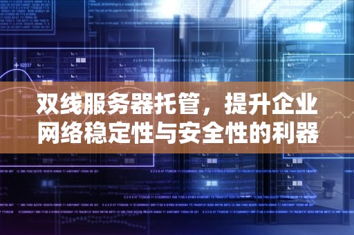 双线服务器托管，提升企业网络稳定性与安全性的利器，双线服务器租用托管