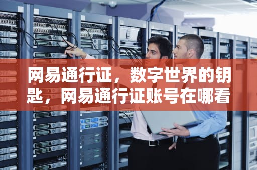 网易通行证，数字世界的钥匙，网易通行证账号在哪看