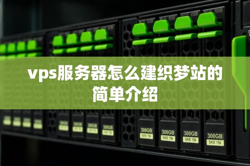 vps服务器怎么建织梦站的简单介绍