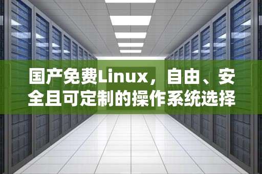 国产免费Linux，自由、安全且可定制的操作系统选择，国产免费linux系统排名