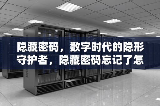 隐藏密码，数字时代的隐形守护者，隐藏密码忘记了怎么找回密码