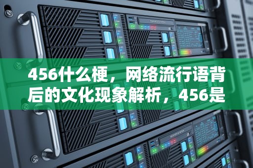 456什么梗，网络流行语背后的文化现象解析，456是个啥梗