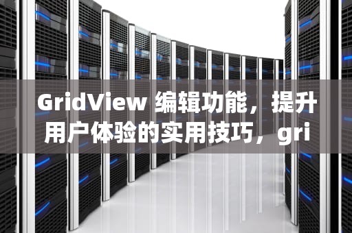 GridView 编辑功能，提升用户体验的实用技巧，gridview编辑功能