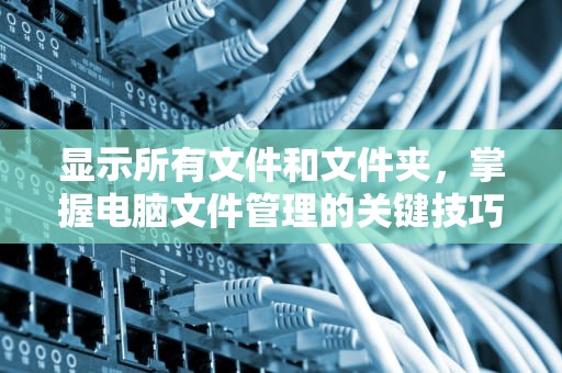 显示所有文件和文件夹，掌握电脑文件管理的关键技巧，显示所有文件和文件夹怎么设置