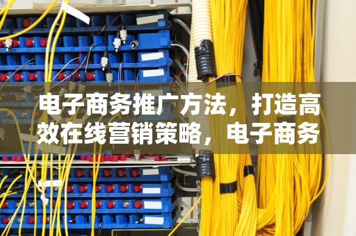 电子商务推广方法，打造高效在线营销策略，电子商务推广方法比较