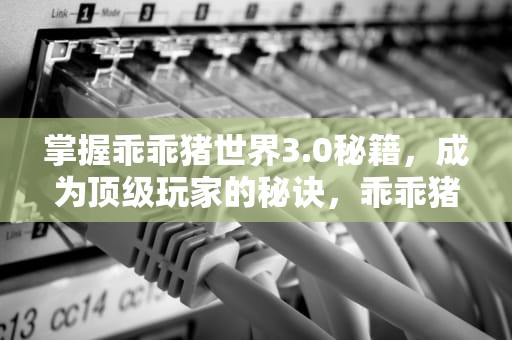 掌握乖乖猪世界3.0秘籍，成为顶级玩家的秘诀，乖乖猪世界2.5攻略