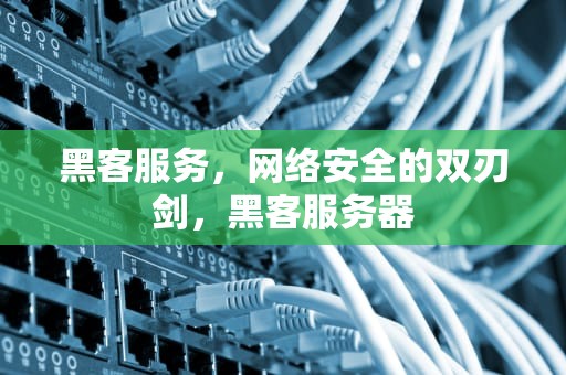 黑客服务，网络安全的双刃剑，黑客服务器