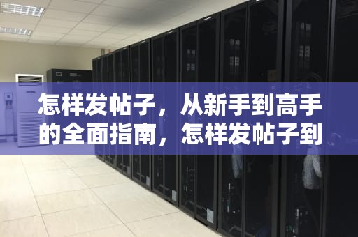 怎样发帖子，从新手到高手的全面指南，怎样发帖子到网上