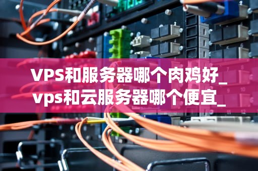 VPS和服务器哪个肉鸡好_vps和云服务器哪个便宜_VPS和服务器哪个更适合作为肉鸡？