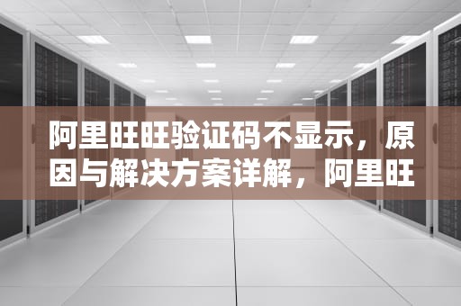 阿里旺旺验证码不显示，原因与解决方案详解，阿里旺旺验证码不显示怎么回事