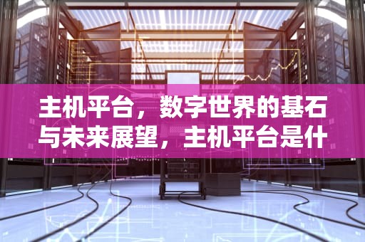 主机平台，数字世界的基石与未来展望，主机平台是什么意思