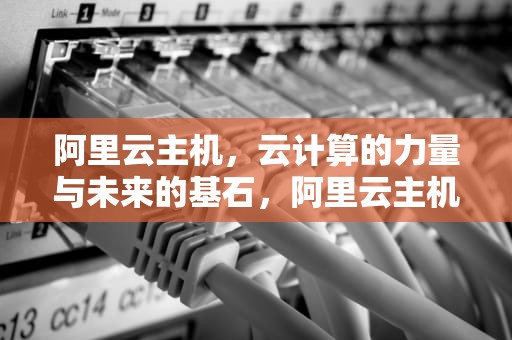 阿里云主机，云计算的力量与未来的基石，阿里云主机价格