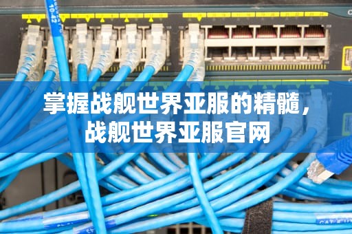 掌握战舰世界亚服的精髓，战舰世界亚服官网