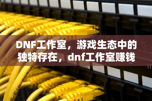 DNF工作室，游戏生态中的独特存在，dnf工作室赚钱方法