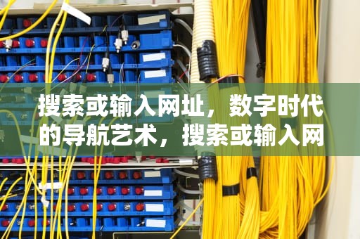 搜索或输入网址，数字时代的导航艺术，搜索或输入网址1