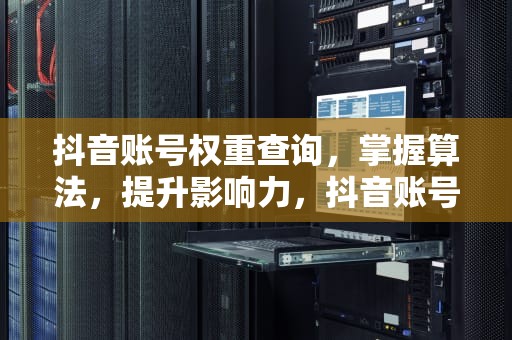抖音账号权重查询，掌握算法，提升影响力，抖音账号权重查询入口