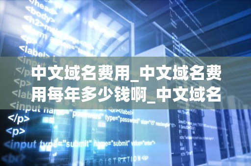 中文域名费用_中文域名费用每年多少钱啊_中文域名费用的全面解析