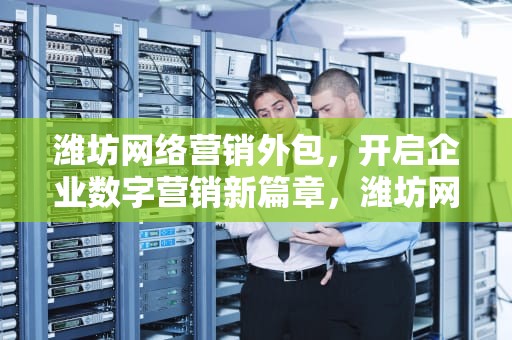 潍坊网络营销外包，开启企业数字营销新篇章，潍坊网络营销外包公司