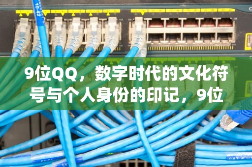 9位QQ，数字时代的文化符号与个人身份的印记，9位qq号是什么年代的
