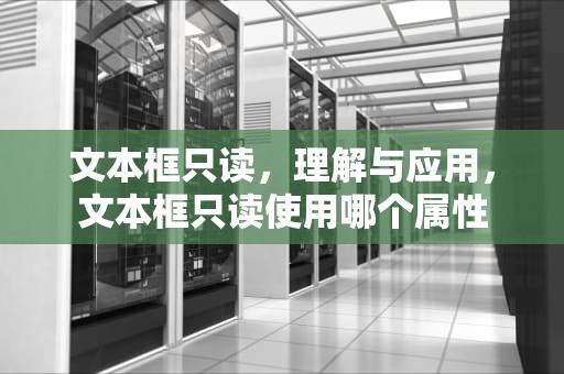 文本框只读，理解与应用，文本框只读使用哪个属性