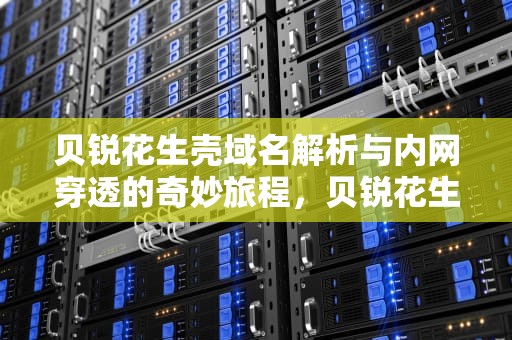 贝锐花生壳域名解析与内网穿透的奇妙旅程，贝锐花生壳域名管理