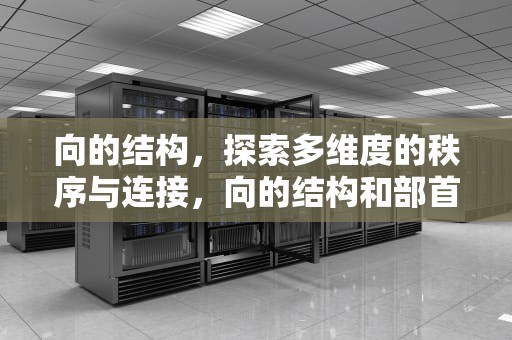 向的结构，探索多维度的秩序与连接，向的结构和部首