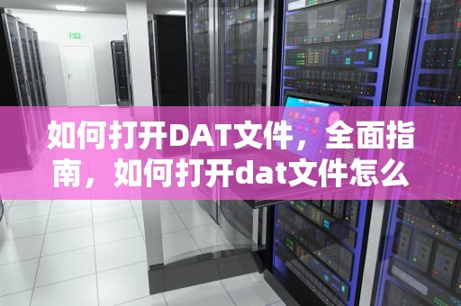 如何打开DAT文件，全面指南，如何打开dat文件怎么打开