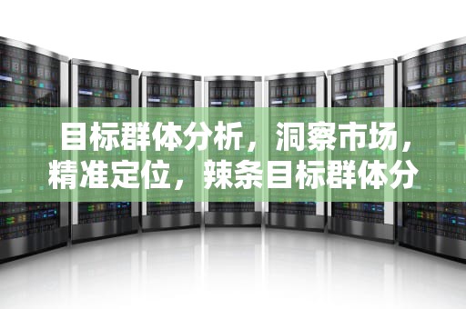 目标群体分析，洞察市场，精准定位，辣条目标群体分析