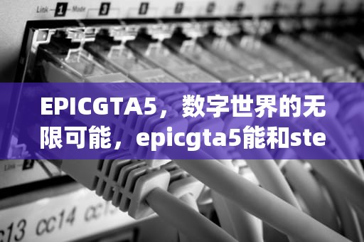 EPICGTA5，数字世界的无限可能，epicgta5能和steam一起玩吗