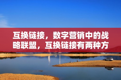 互换链接，数字营销中的战略联盟，互换链接有两种方法