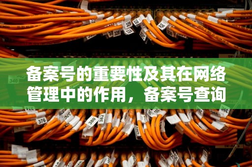 备案号的重要性及其在网络管理中的作用，备案号查询平台官网