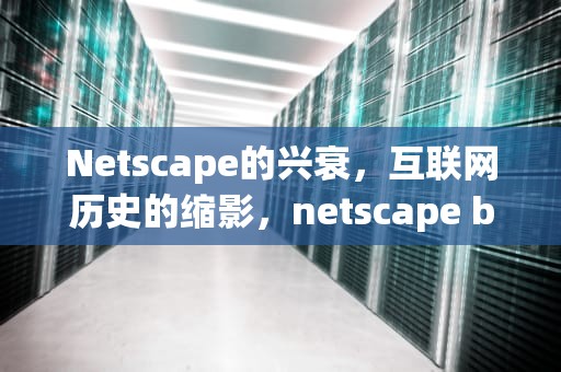 Netscape的兴衰，互联网历史的缩影，netscape browser发明者