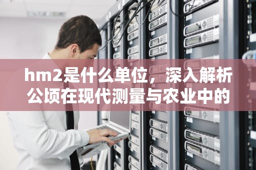 hm2是什么单位，深入解析公顷在现代测量与农业中的应用，hm2是什么单位面积